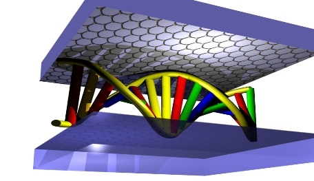 graphene_nanofluidic_dna(b300).jpg